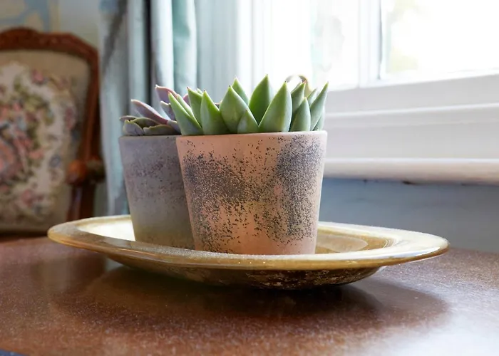 The Townhouse Séjour chez l'habitant *